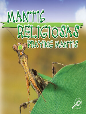 cover image of Mantis religiosas (Praying Mantis)